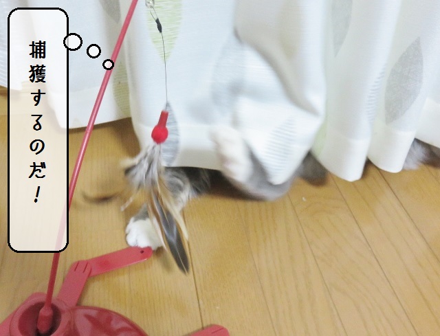 f:id:suzumesuzume:20190124150315j:plain