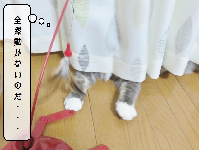 f:id:suzumesuzume:20190124150320j:plain