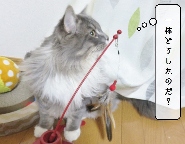 f:id:suzumesuzume:20190124150325j:plain