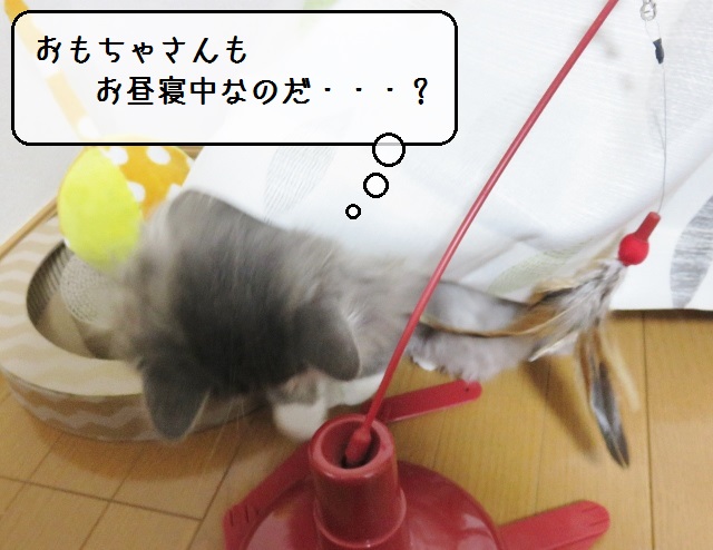 f:id:suzumesuzume:20190124150331j:plain