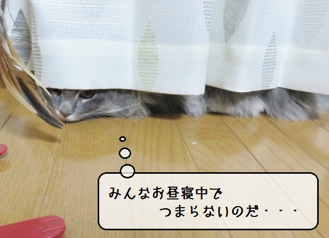 f:id:suzumesuzume:20190124150336j:plain