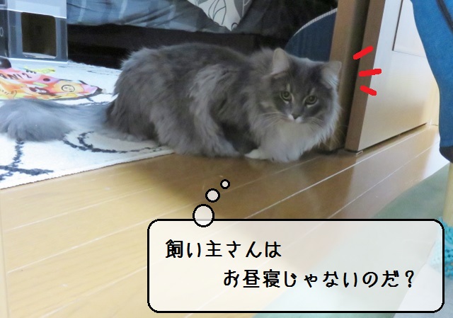 f:id:suzumesuzume:20190124150344j:plain