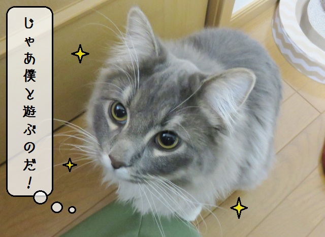 f:id:suzumesuzume:20190124150349j:plain