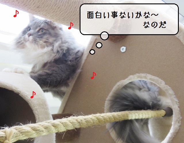 f:id:suzumesuzume:20190218153224j:plain f:id:suzumesuzume:20190218153224j:plain