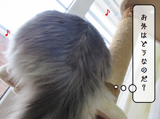 f:id:suzumesuzume:20190218153230j:plain f:id:suzumesuzume:20190218153230j:plain