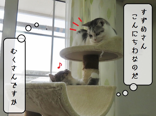 f:id:suzumesuzume:20190218153252j:plain f:id:suzumesuzume:20190218153252j:plain