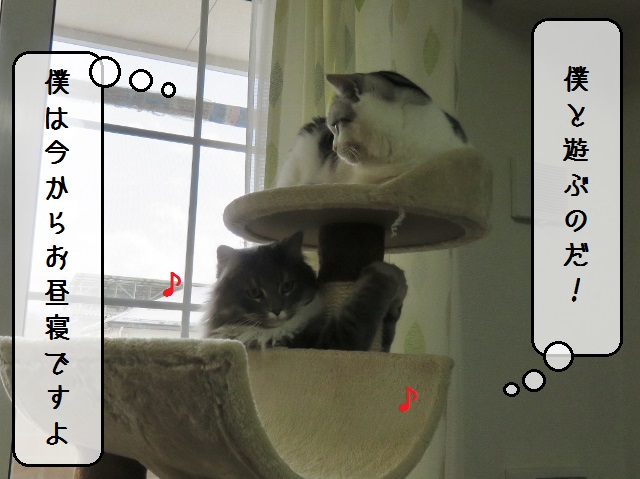 f:id:suzumesuzume:20190218153258j:plain f:id:suzumesuzume:20190218153258j:plain