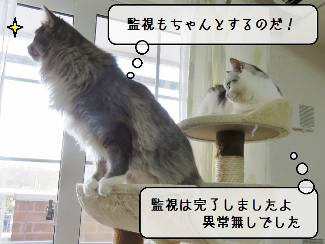 f:id:suzumesuzume:20190218153305j:plain f:id:suzumesuzume:20190218153305j:plain