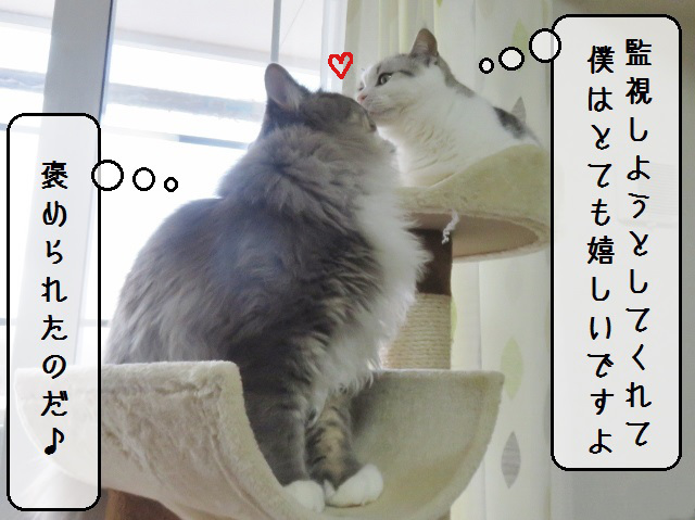 f:id:suzumesuzume:20190218153312j:plain f:id:suzumesuzume:20190218153312j:plain