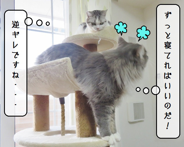 f:id:suzumesuzume:20190218153323j:plain f:id:suzumesuzume:20190218153323j:plain