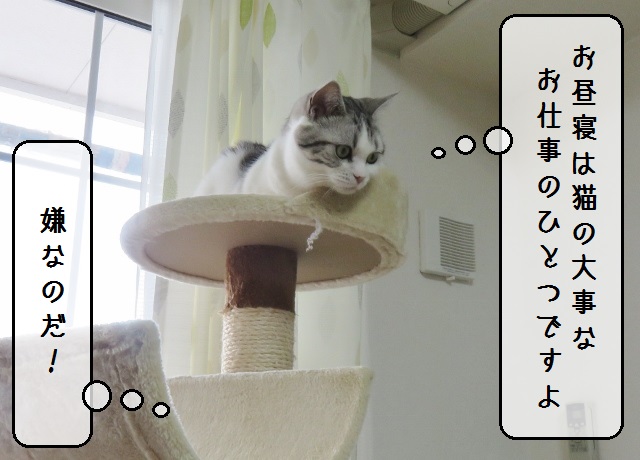 f:id:suzumesuzume:20190218153329j:plain f:id:suzumesuzume:20190218153329j:plain