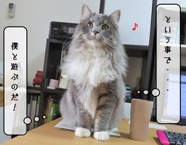 f:id:suzumesuzume:20190218153334j:plain f:id:suzumesuzume:20190218153334j:plain