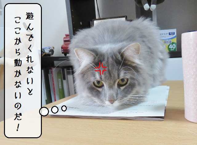 f:id:suzumesuzume:20190218153345j:plain f:id:suzumesuzume:20190218153345j:plain