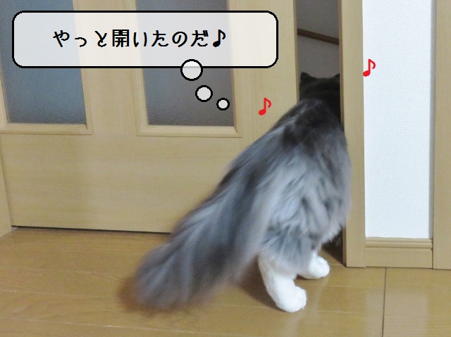 f:id:suzumesuzume:20190226152203j:plain