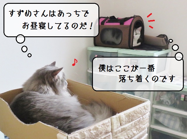 f:id:suzumesuzume:20190312122617j:plain