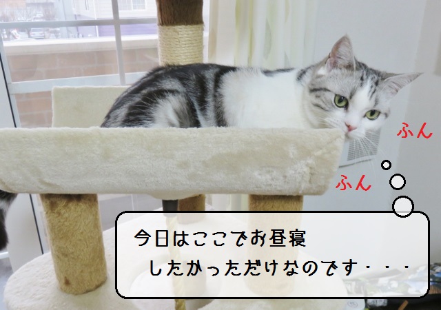f:id:suzumesuzume:20190314152021j:plain