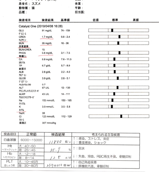 f:id:suzumesuzume:20190410122451p:plain