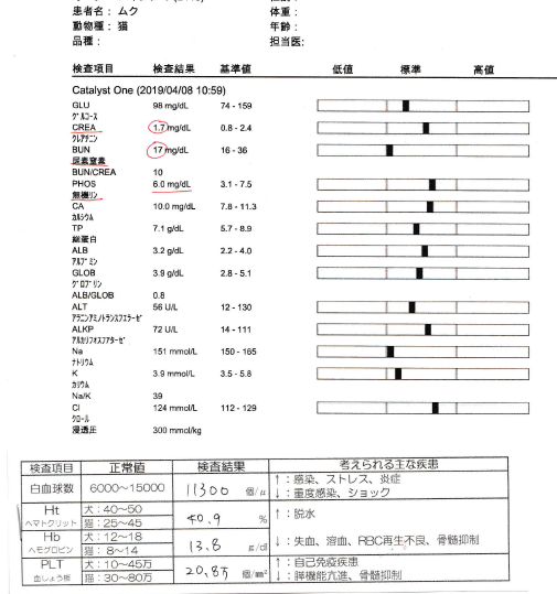 f:id:suzumesuzume:20190410122554p:plain