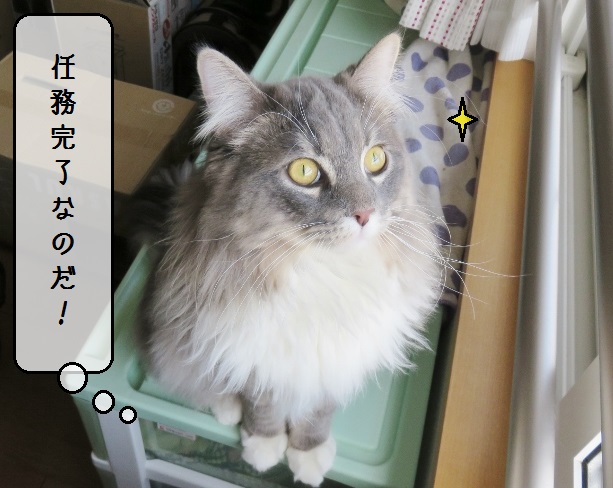 f:id:suzumesuzume:20190418130445j:plain