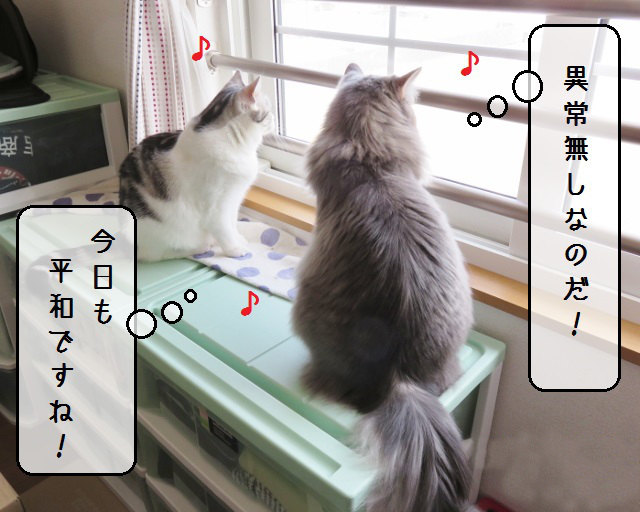 f:id:suzumesuzume:20190424144351j:plain