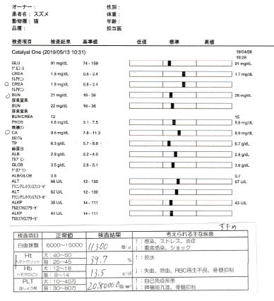 f:id:suzumesuzume:20190520201835p:plain