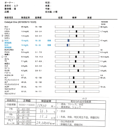 f:id:suzumesuzume:20190520201842p:plain