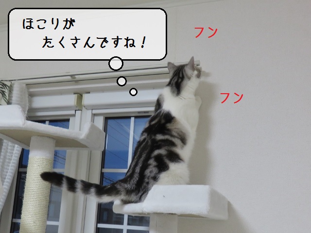 f:id:suzumesuzume:20190527155444j:plain f:id:suzumesuzume:20190527155444j:plain