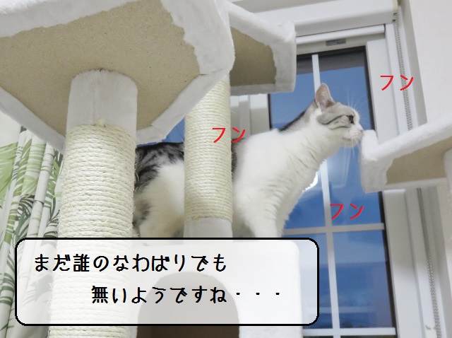 f:id:suzumesuzume:20190527155453j:plain f:id:suzumesuzume:20190527155453j:plain