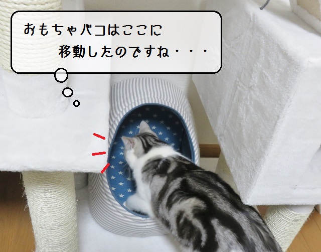 f:id:suzumesuzume:20190527155506j:plain f:id:suzumesuzume:20190527155506j:plain