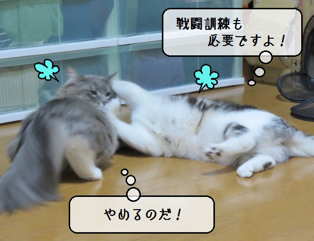 f:id:suzumesuzume:20190617150003j:plain