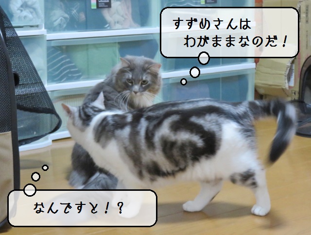 f:id:suzumesuzume:20190617150010j:plain