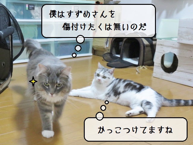 f:id:suzumesuzume:20190617150101j:plain