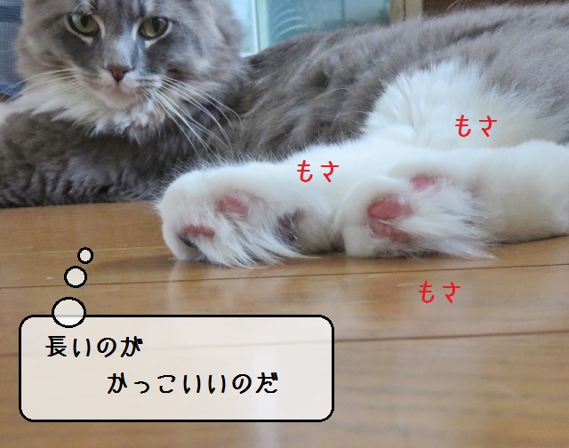 f:id:suzumesuzume:20190624204657j:plain