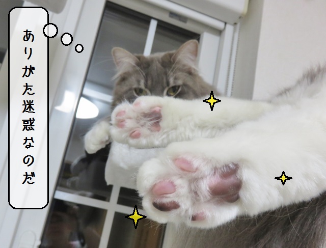 f:id:suzumesuzume:20190624204703j:plain