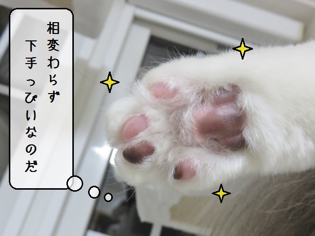 f:id:suzumesuzume:20190624204713j:plain