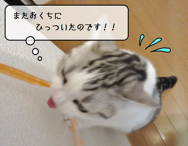 f:id:suzumesuzume:20190627135628j:plain