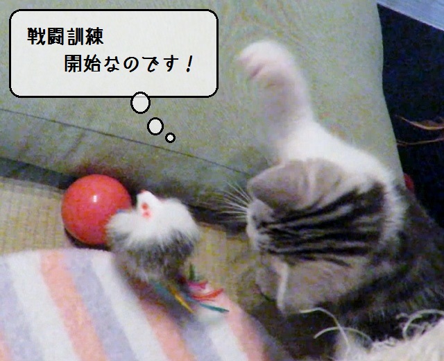 f:id:suzumesuzume:20190708142029j:plain