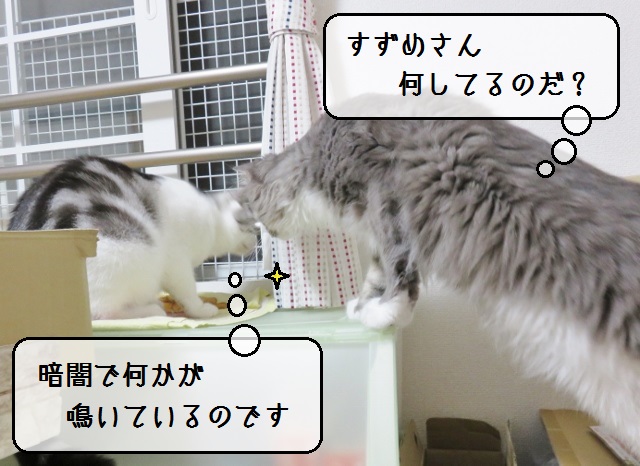 f:id:suzumesuzume:20190906195428j:plain