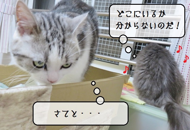 f:id:suzumesuzume:20190906195439j:plain