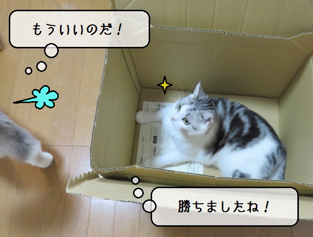 f:id:suzumesuzume:20190912185239j:plain