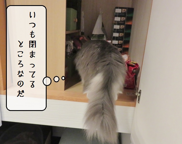 f:id:suzumesuzume:20191202190243j:plain