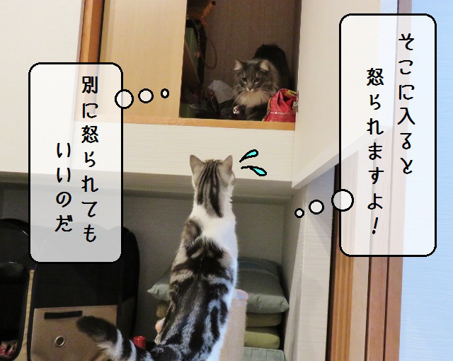 f:id:suzumesuzume:20191202203108j:plain f:id:suzumesuzume:20191202203108j:plain