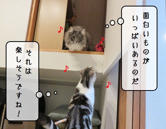 f:id:suzumesuzume:20191202203115j:plain f:id:suzumesuzume:20191202203115j:plain