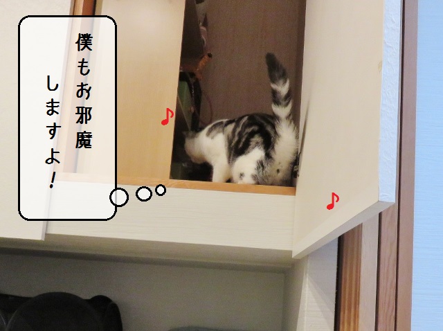 f:id:suzumesuzume:20191202203121j:plain f:id:suzumesuzume:20191202203121j:plain