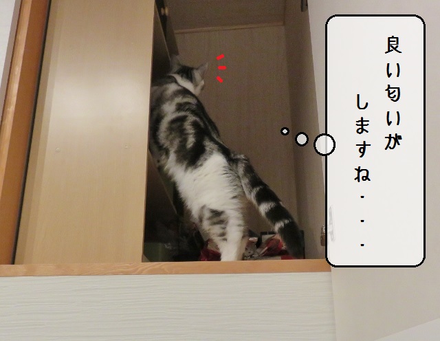 f:id:suzumesuzume:20191202203138j:plain f:id:suzumesuzume:20191202203138j:plain