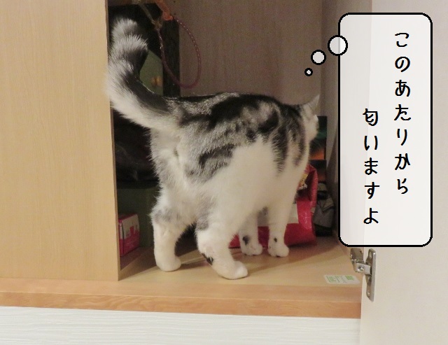 f:id:suzumesuzume:20191202203145j:plain f:id:suzumesuzume:20191202203145j:plain