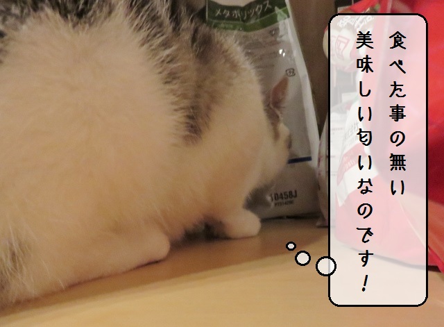 f:id:suzumesuzume:20191202203150j:plain f:id:suzumesuzume:20191202203150j:plain