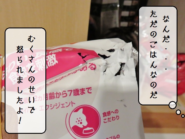 f:id:suzumesuzume:20191202203210j:plain f:id:suzumesuzume:20191202203210j:plain