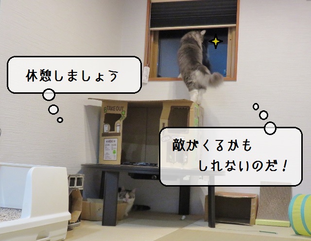 f:id:suzumesuzume:20191203213610j:plain