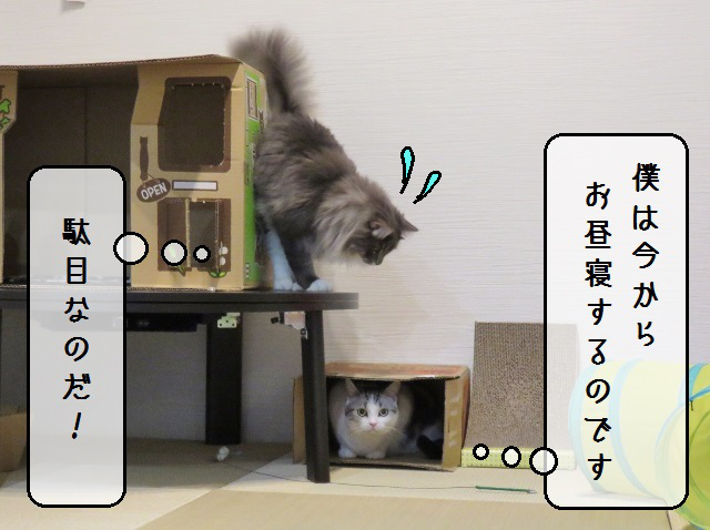 f:id:suzumesuzume:20191203213620j:plain